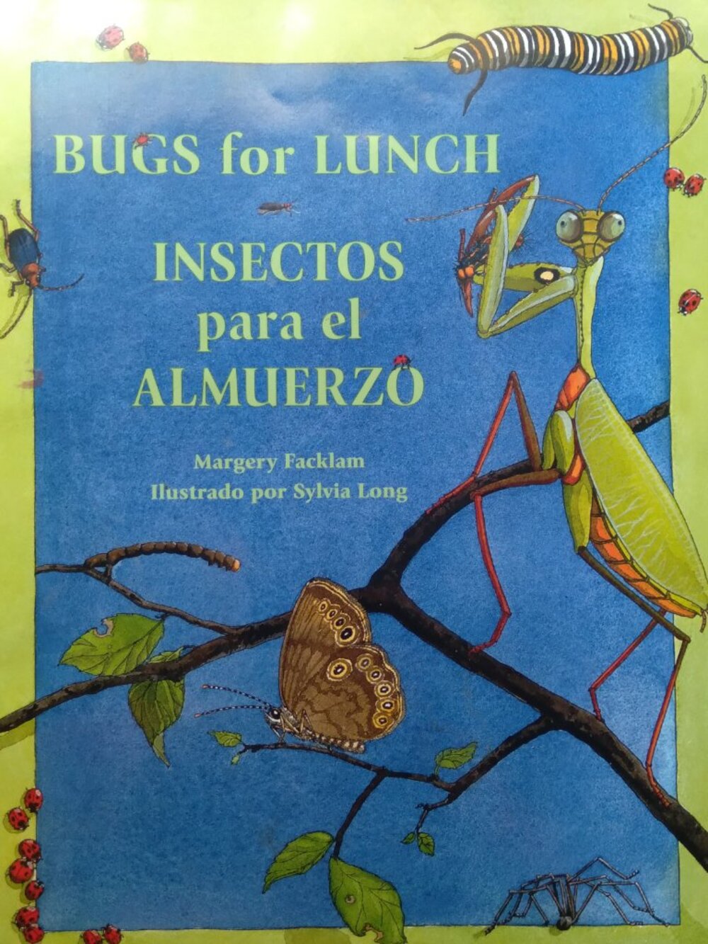"Bugs for Lunch"   Bilingual kids book